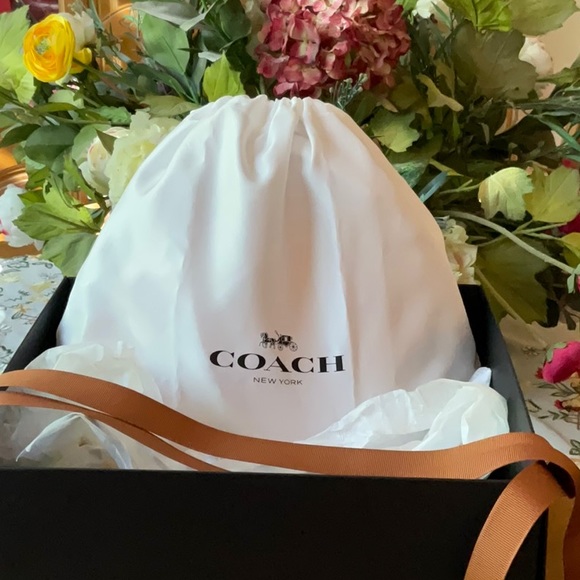 🎃  COACH PUMPKIN BAG 🎃 NWT 🎃 - Picture 11 of 16